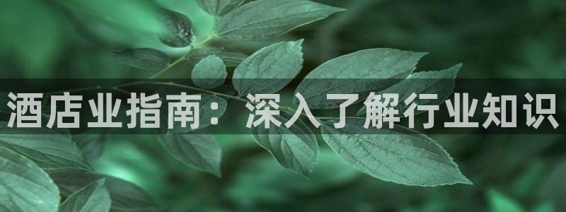 凯发官方网站