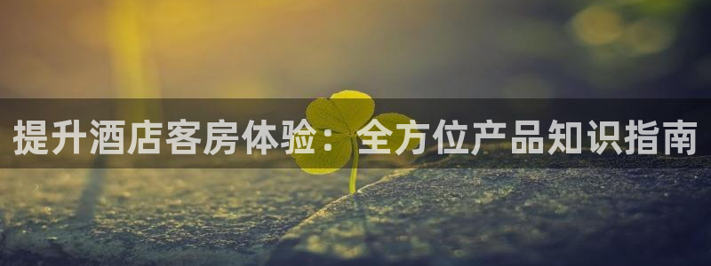 凯发真人游戏下注官方网站