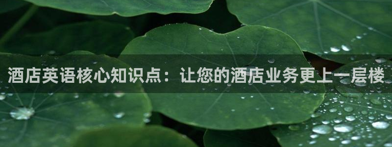 凯发k8国际手机下载