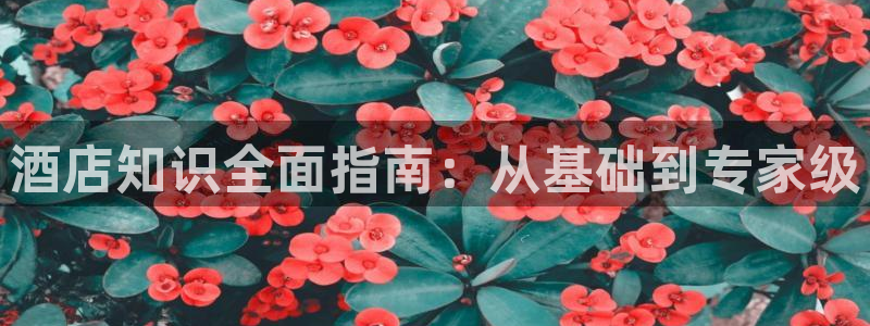 凯发k8全球最大的娱乐平台