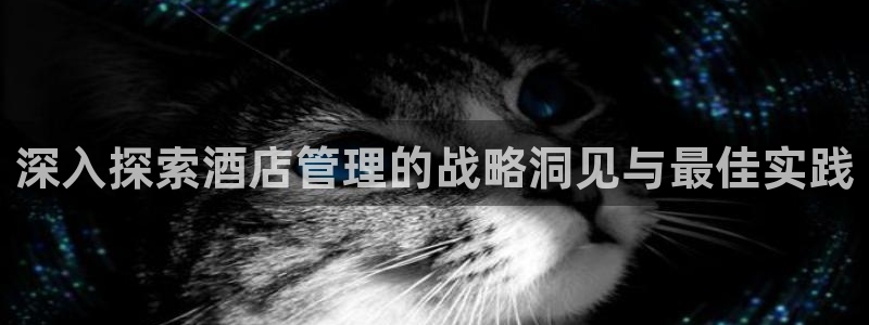 凯发正规网址