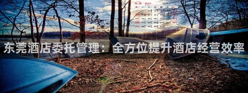 k8凯发国际官方入口