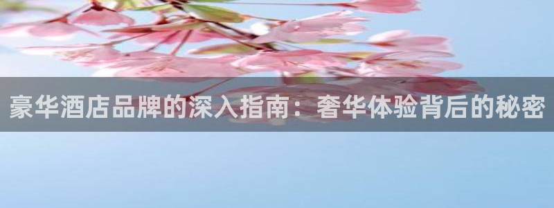 凯发k8网站是多少