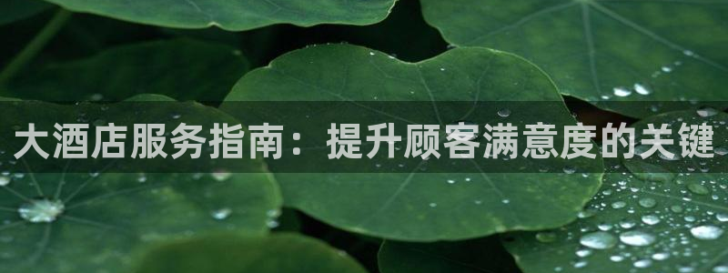 k8凯发国际官方入口